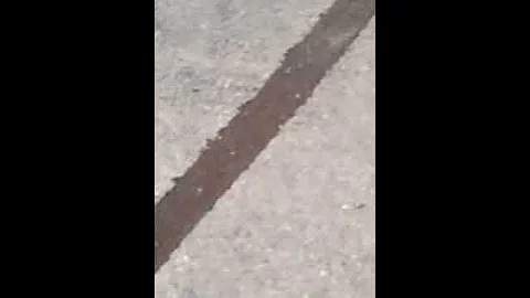 Hailing In Bermuda