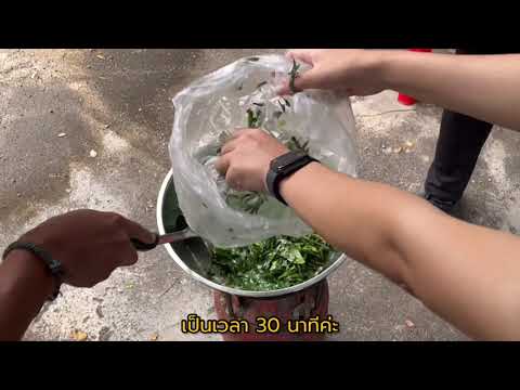 วีดีโอ: 3 วิธีในการอุ่นไก่ย่าง Rotisserie