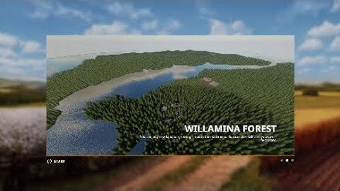 Willamina Forest - Timelapse - Episode 1