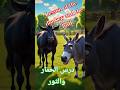 درس الحمار والثور حكم قصص اقتباسات مواعظ إلهام اقتباسات حكمة اليوم حكايات درس الحمار والثور حكم قصص اقتباسات مواعظ إلهام اقتباسات حكمة اليوم حكايات