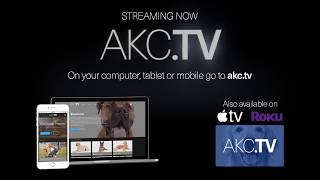 AKC.TV is Live!!!