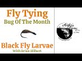 Fly tying  black fly larvae with brian hilbert flytying