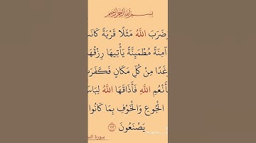 سوره النحل القران الكريم #اكسبلور #elmulquranعلم #quracion #دويتو