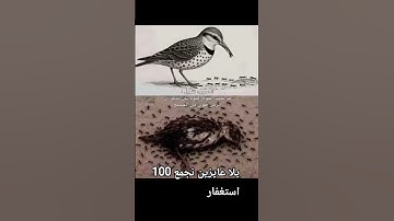 #توعيه #اطمأن #اللهم_صَلِّ_على_محمدٍ_وآلِ_محمد #تلاوة_قرآن #الرحمن #المصحف