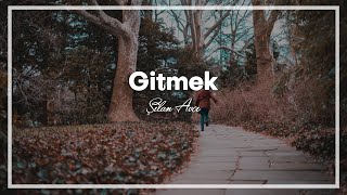 Gitmek | Şilan Avcı Resimi