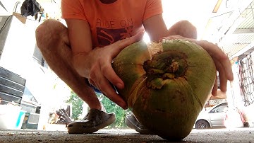 Open a coconut no tools