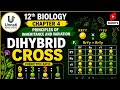 Dihybrid Cross for Neet Exam| Class 12 Biology Chapter 4 | NEET 2026