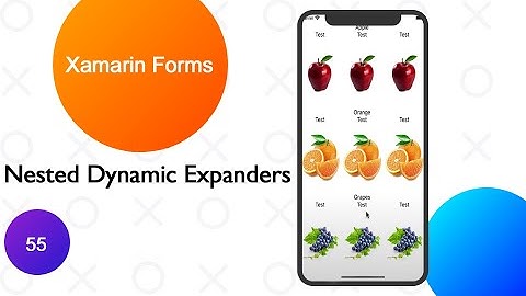 Xamarin forms Expanders Dynamic  Contents