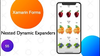 Xamarin forms Expanders Dynamic  Contents