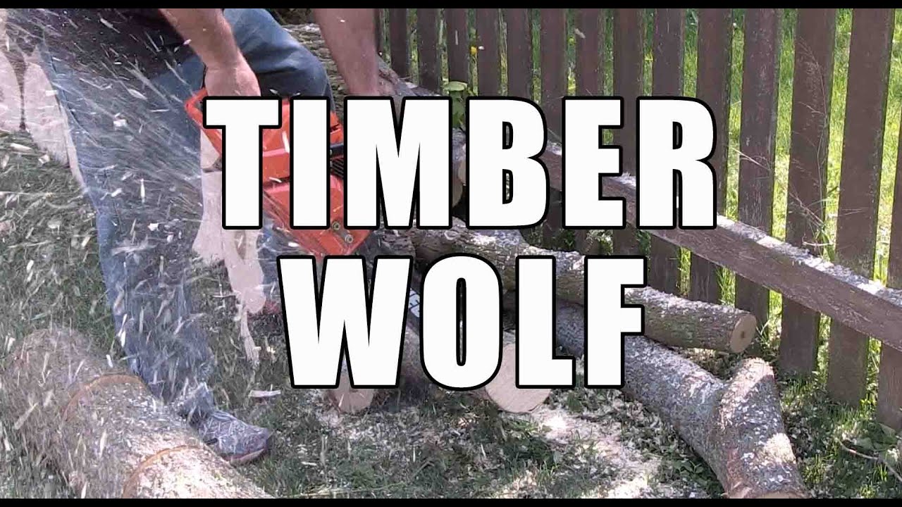 echo timber wolf echo timber wolf