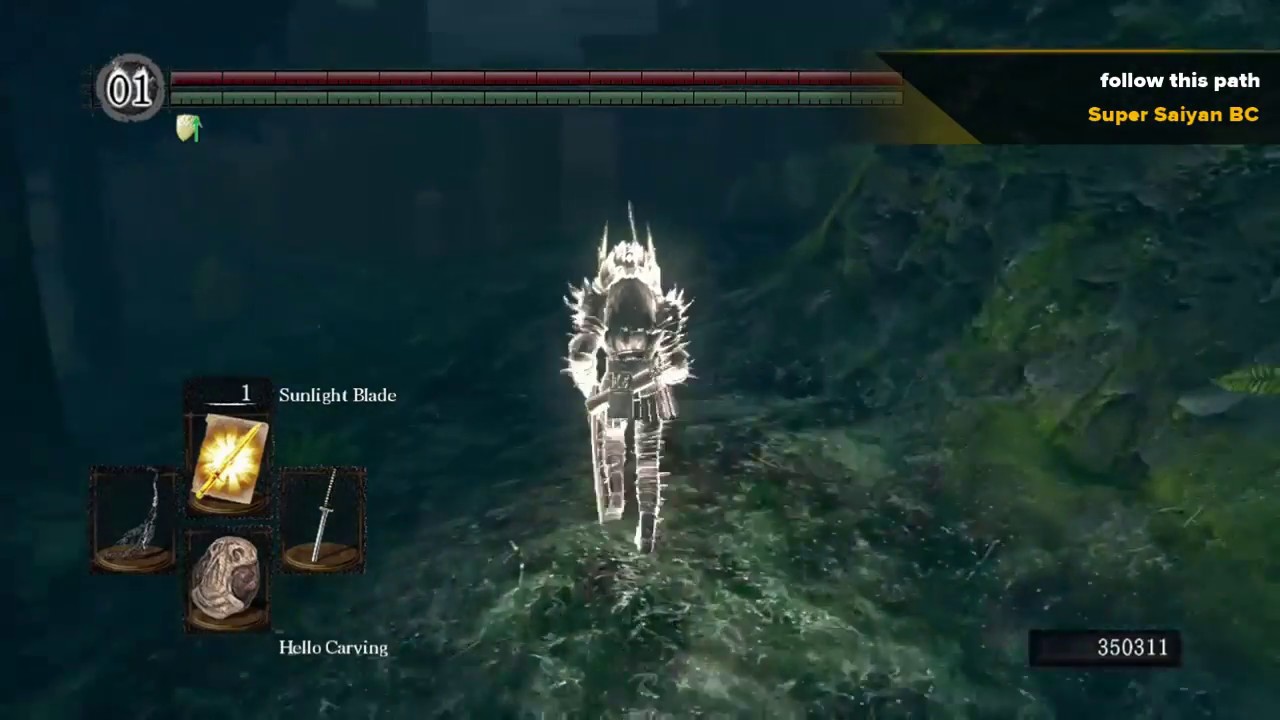 Darkroot Garden Glitch to hydra