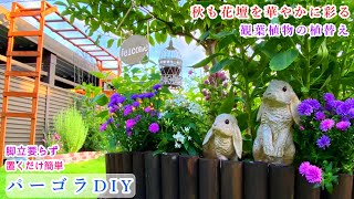 【パーゴラDIY＊お手入れが楽な庭づくり】【秋の花で花壇を彩る】【観葉植物植替え】ガーデニング/モッコウバラ