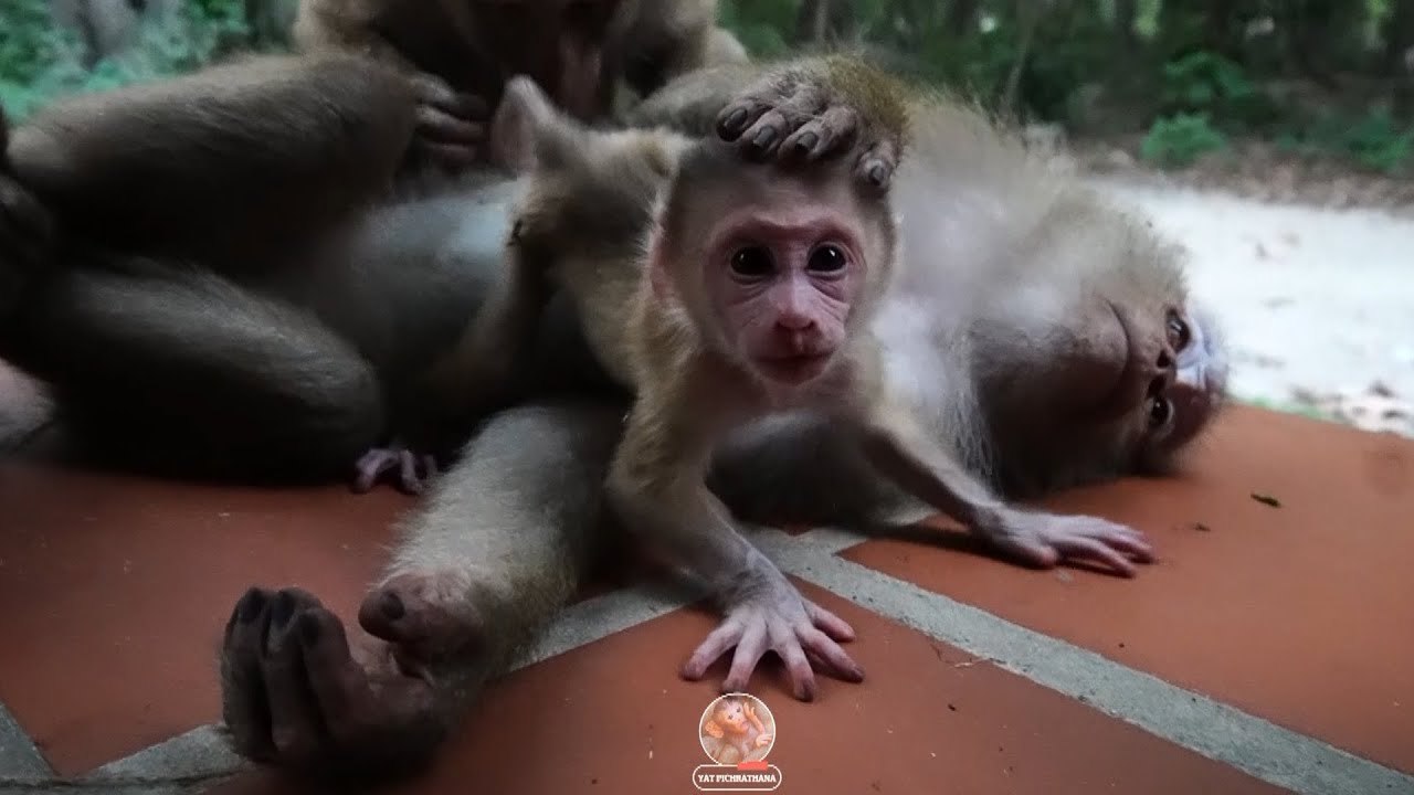 Evening activity baby Lucie so lovely before go sleep with mummy Luna