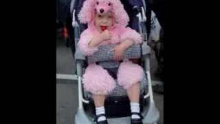 Halloween on the Square in Greenville, Texas