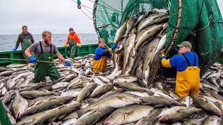 40 Tons of Cod in a Frozen Hell – The Brutal Reality of Deep Sea Trawling