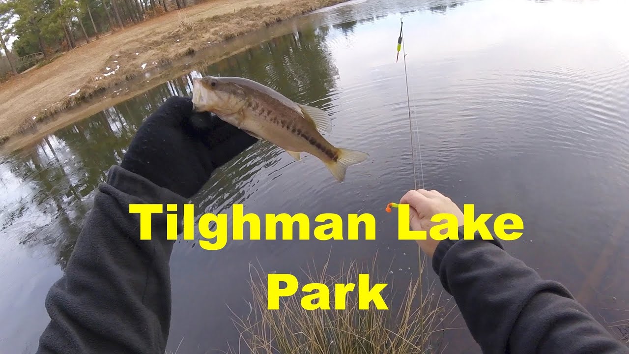 Tilghman Lake Park in La Plata, MD YouTube