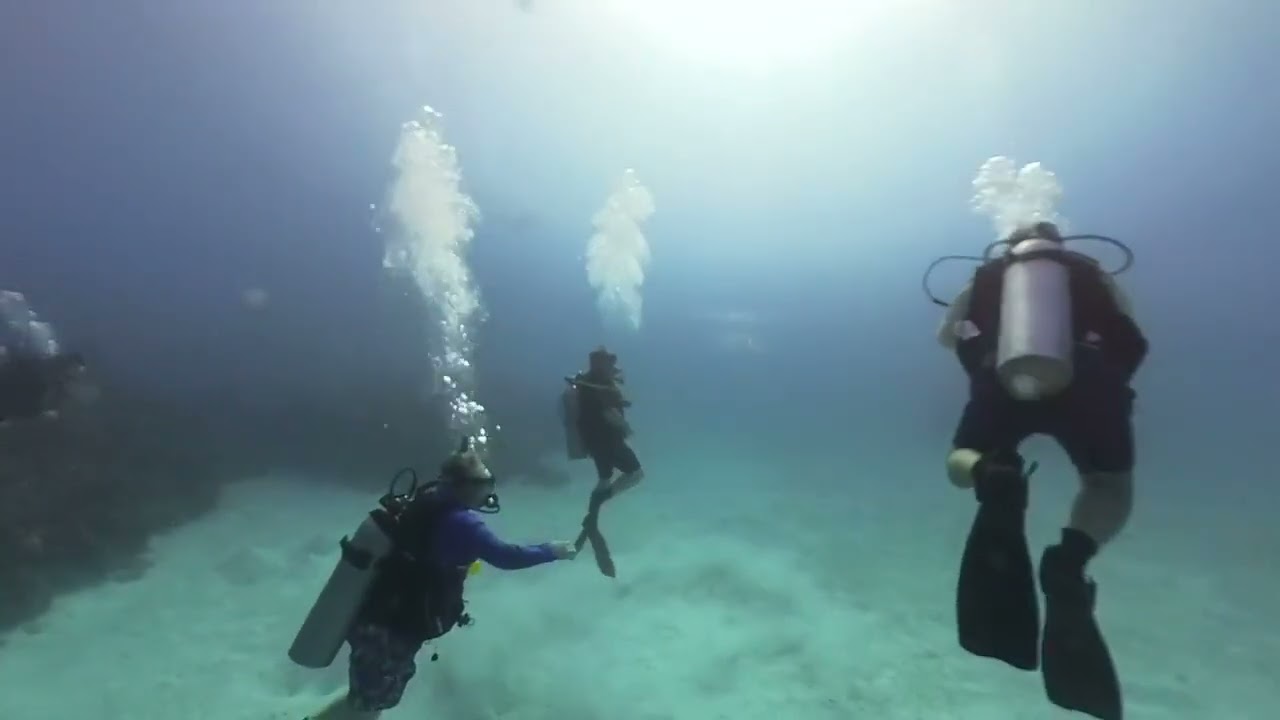 DD6 Grand Cayman Doc Paulson 1