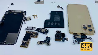 *iPhone 12 Pro Max Teardown | What's Different With iPhone 12 Pro? ASMR