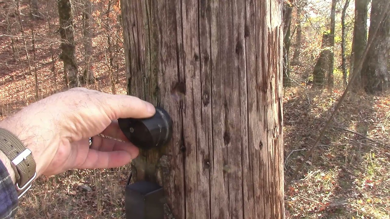 Can You Use PLA Outside?? YouTube