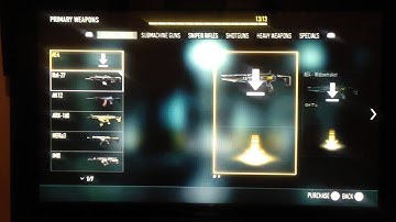 Cod havoc dlc AE4 weapon not included