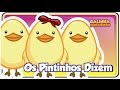 OS PINTINHOS DIZEM - Clipe Música Oficial - Galinha Pintadinha DVD 4