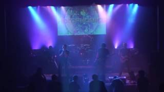 Holophonics - chemically mine  / LIVE 2012