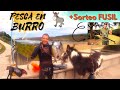 ✅PESCA SUBMARINA EN BURRO + 🔴SORTEO FUSIL🔴ESPECIAL 10.000 SUSCRIPTORES