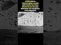 Operation Market Garden 1944 – Mut hinter feindlichen Linien