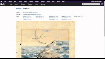 How To Use Flickr Pic to TimelineJS