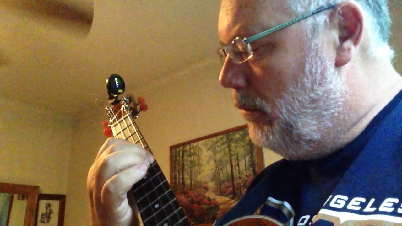 Seaguar Blue Label fishing lead for low G Baritone Ukulele YouTube