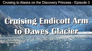 Discovery Princess | Endicott Arm | Dawes Glacier | Alaska