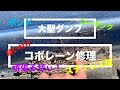 大型ダンプの穴空きコボレーンシートを修理します