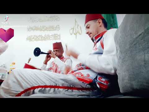 Zarna Dz Pro 0542659575