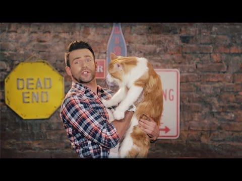 Какой выбрать наполнитель ?