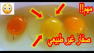 تعرف على خصائص البيض العضوي و مقارنته مع غيره..Benefits of Organic Eggs