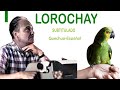 LOROCHAY  aprender QUECHUA cantando/SUBTITULADO/letras para cantar/Jose Maria Arguedas/Quechua PE