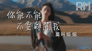 你能不能不要離開我—莫叫姐姐『ni neng bu neng bu yao li kai wo —mo jiao jie jie』