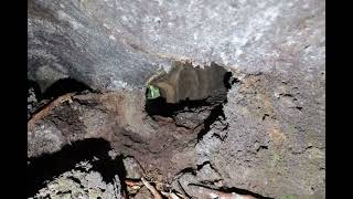 mystery cave, 6k