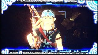 No fall damage glitch/ Zelda BOTW