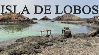 ISLA DE LOBOS - settimana a Fuerteventura (ultima parte)