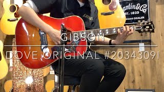 Gibson Dove Original パワフルな中低域と煌びやかな高域が魅力クロサワ楽器池袋店在庫品
