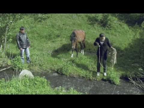 დაფარვის ზონის მიღმა  Out Of Service