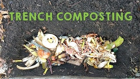 How to Trench Compost | Very Simple Composting Method - Gardening