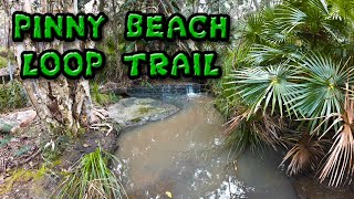 The Amazing Pinny Beach Loop Track
