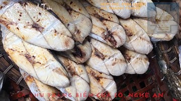 Cữa Lò Biển Gọi - Thanh Hải ( Đặc sản Cá Thu Trắng Biển Nghệ an)