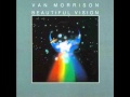 Van Morrison - Celtic Ray