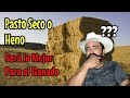 Será el Pasto Seco lo Mejor para su Ganado??