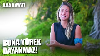 Aleynanın Acı Hikayesi Survivor 2021