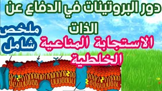 الاستجابة المناعية الخلطية ملخص شامل 3 ثانوى علوم تجريبية ورياضى من حصص الدعم عبر zoom