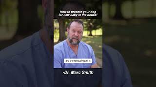How to Prepare Your Dog for a New Baby by Marc Smith, DVM, MS